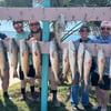 Aransas Pass Wade or Drift