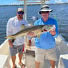 Bountiful Backwaters of Sarasota