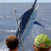 Kona Big Game Fishing - 31’ Bertram