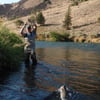 Deschutes River Rainbows