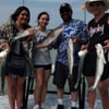 SPI Bay Fishing Adventure