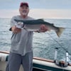 Trophy Trout and Salmon Trolling