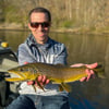 Tailwater Trout