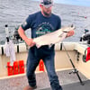 Muskegon Salmon Adventure