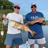 Seasonal Inshore Action