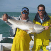 4 Hour Naples Inshore/Nearshore
