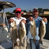 Half Day Lake Conroe