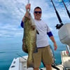 Wilmington Mixed Bag