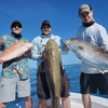 Nearshore 4-8 Hour
