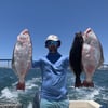 4 Hour Bay Fishing Trip