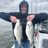"Reeling in Memories"