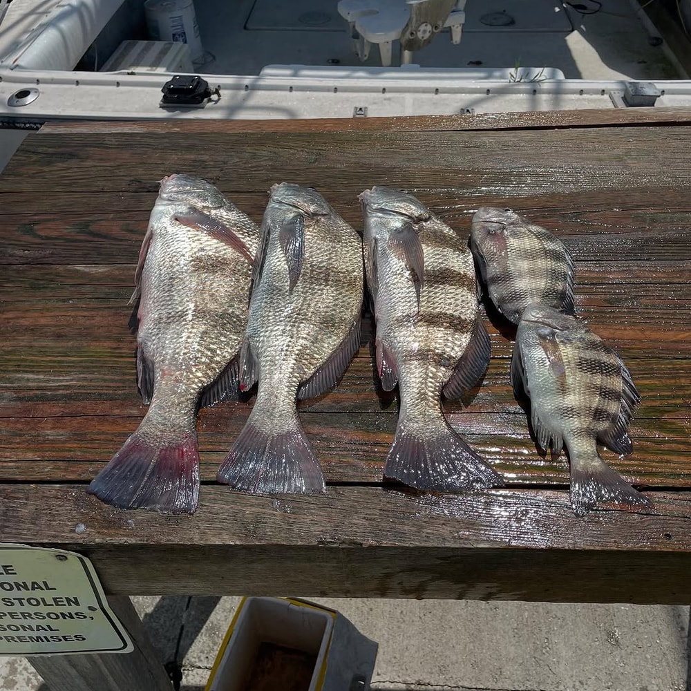 Fishing in Destin