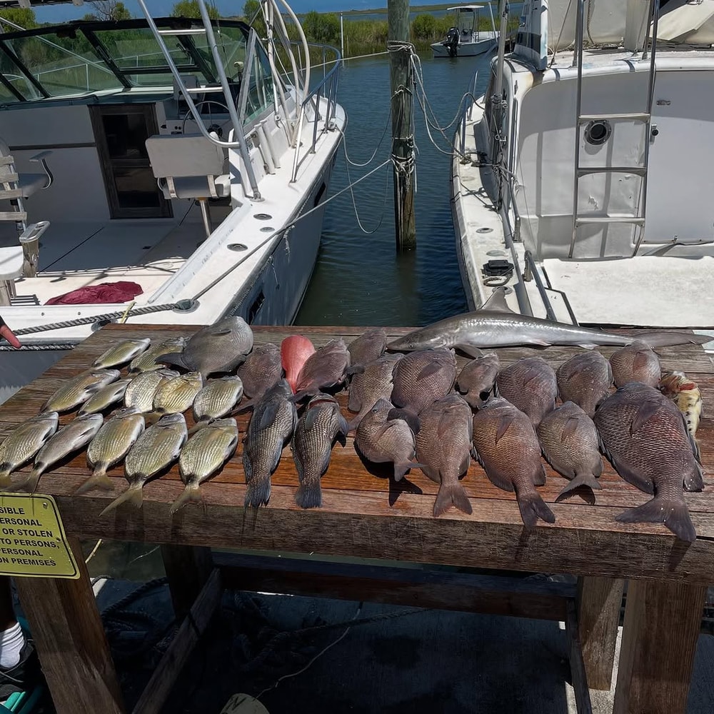 Fishing in Destin