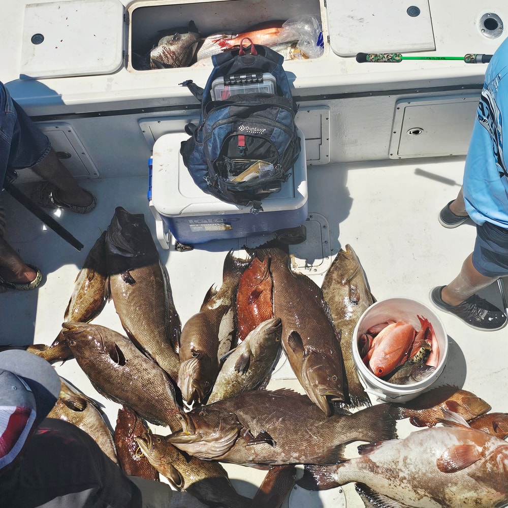 Fishing in Destin