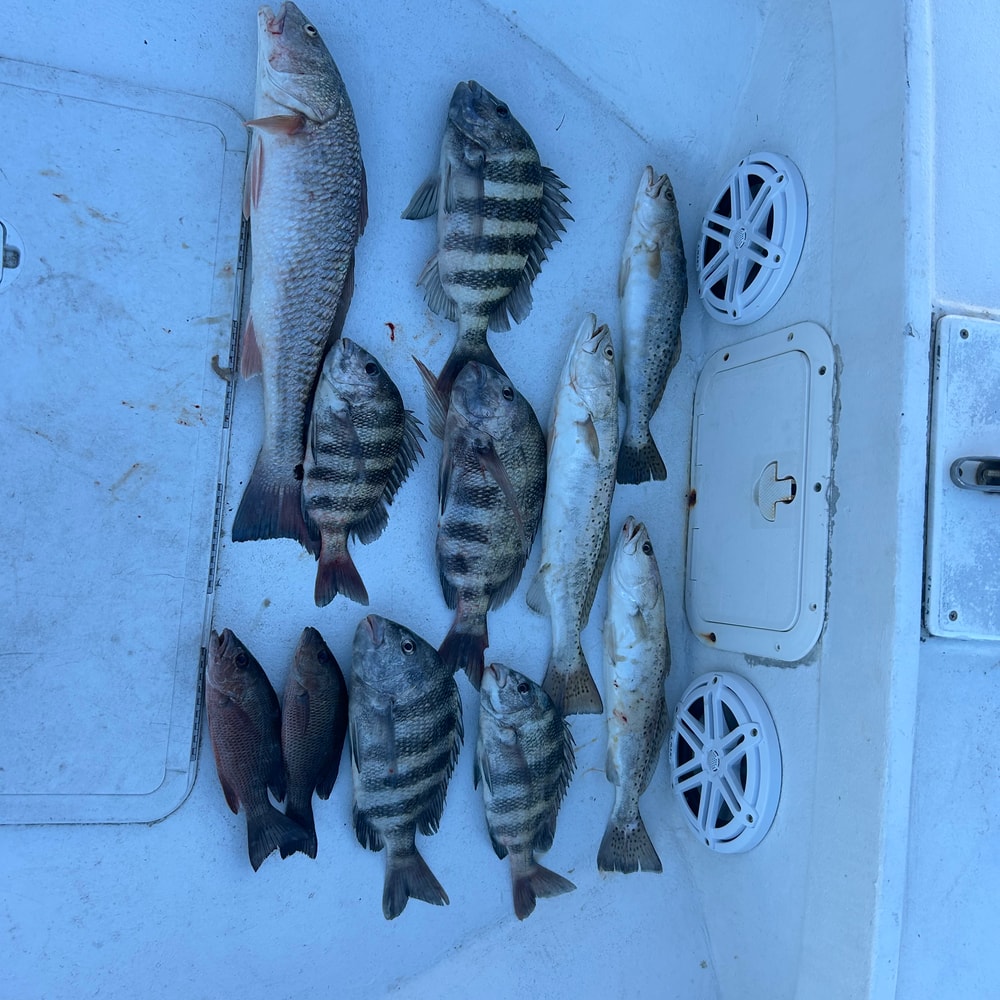 Fishing in Destin