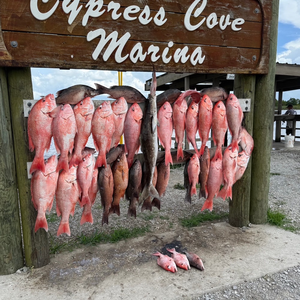 Fishing in Destin