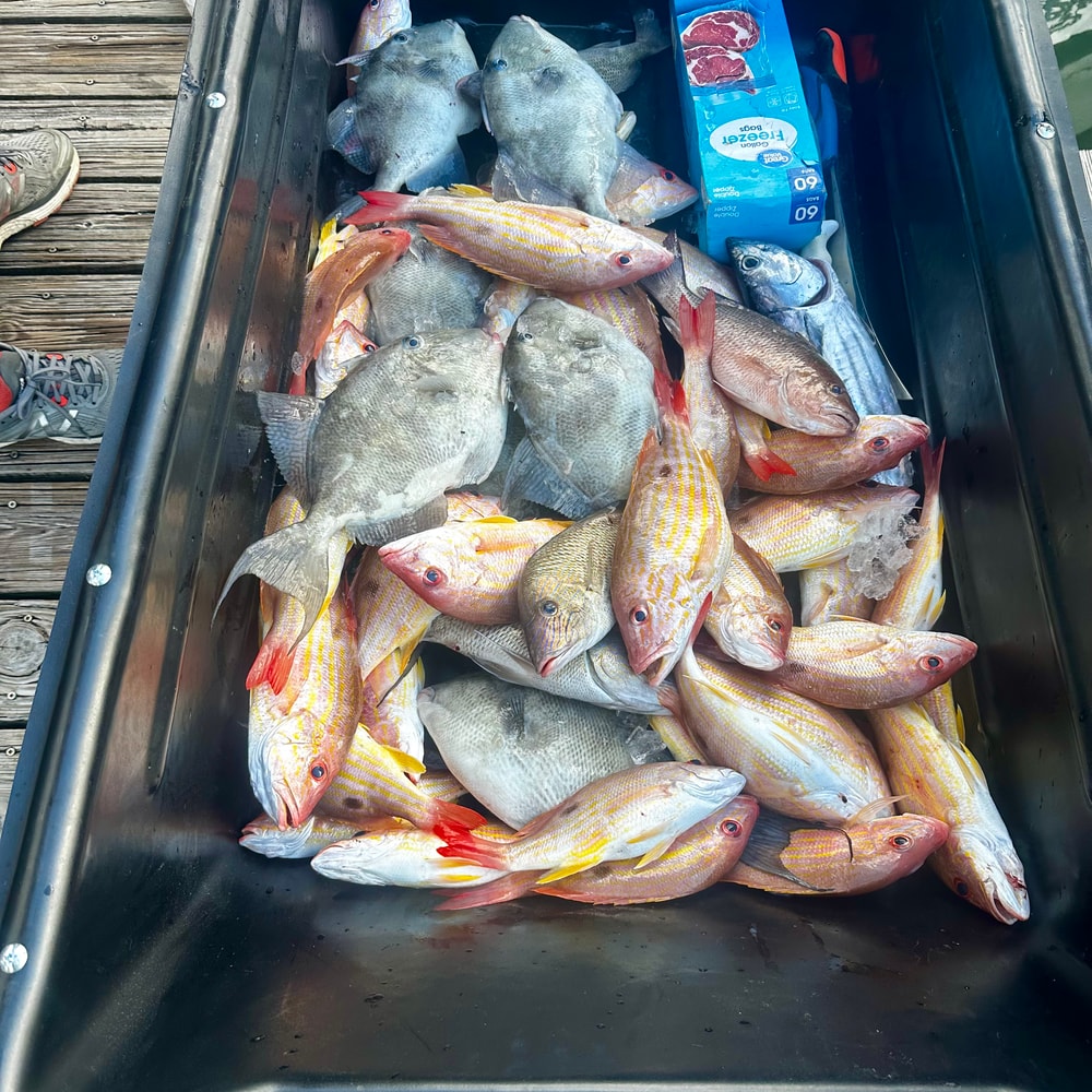 Fishing in Destin