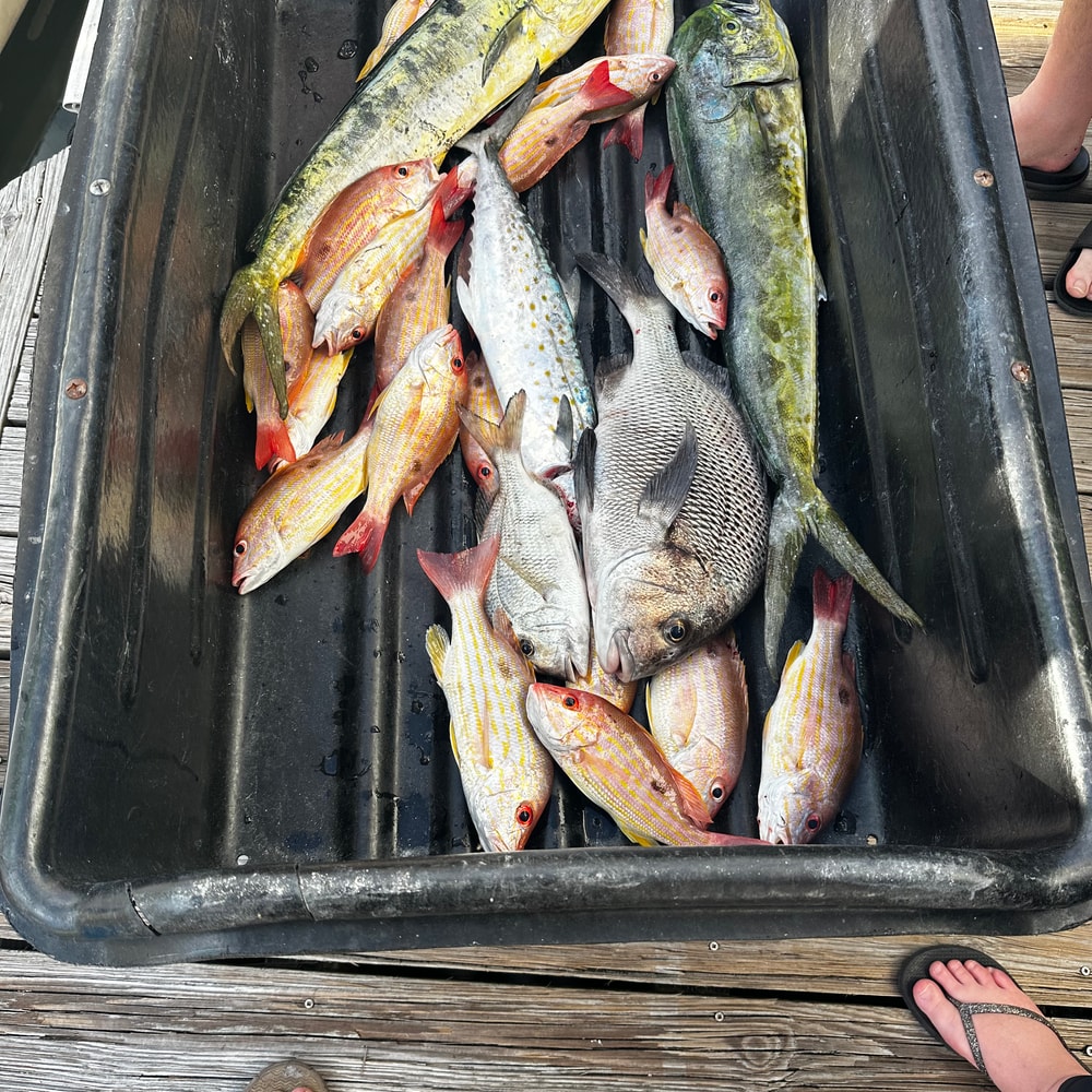 Fishing in Destin