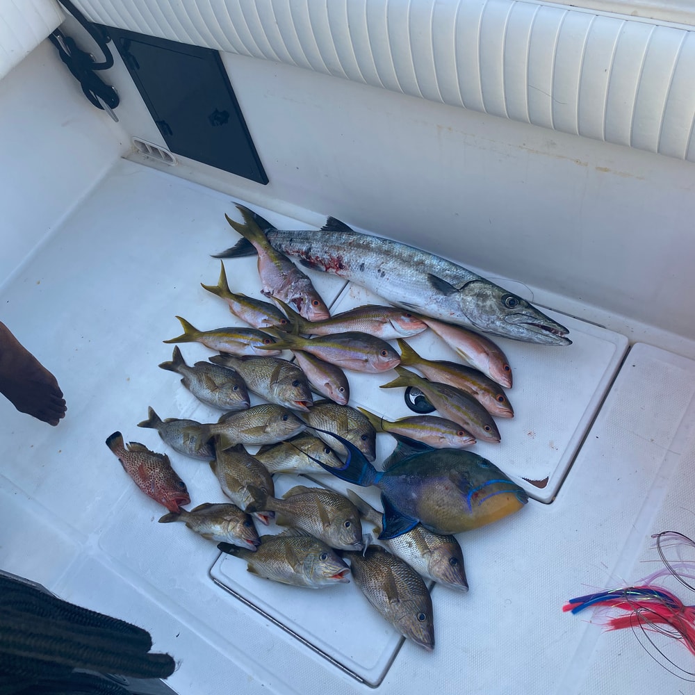 Fishing in Destin