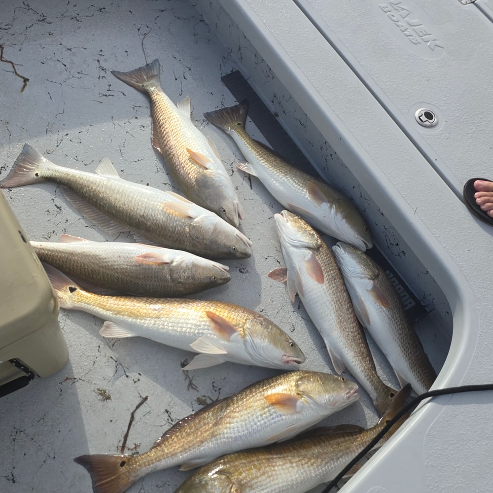 Fishing in Destin