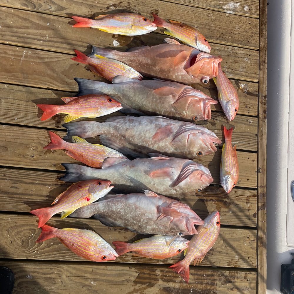 Fishing in Destin