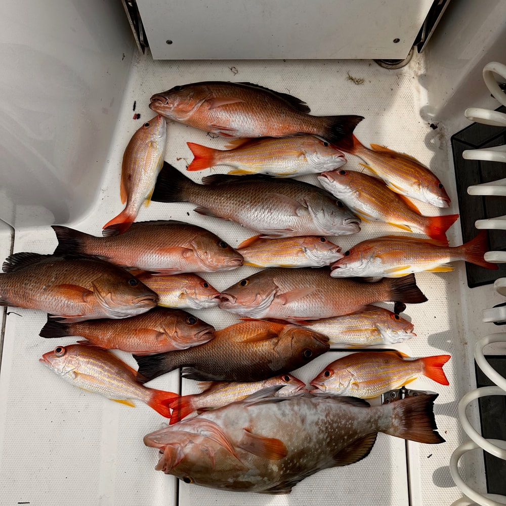 Fishing in Destin