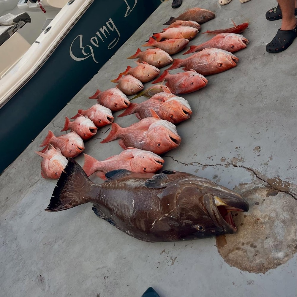Fishing in Destin