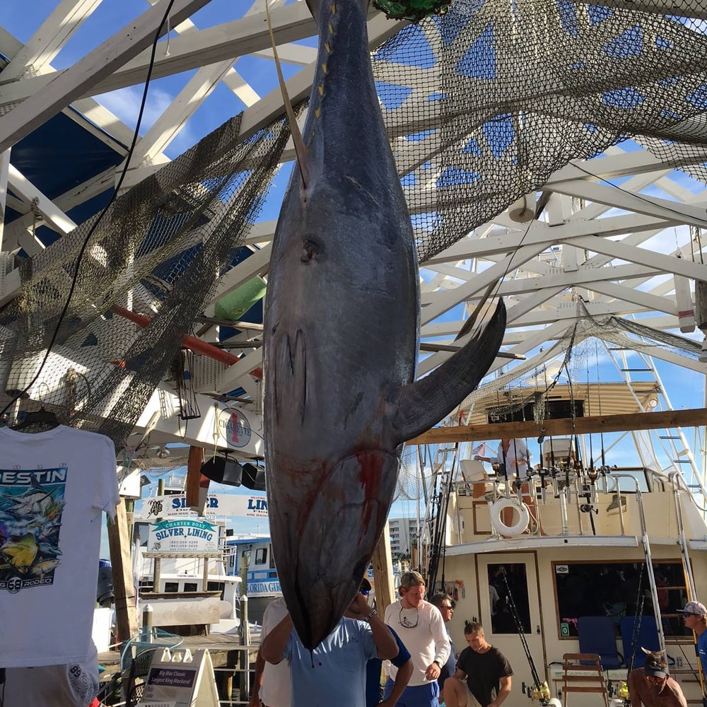 Fishing in Destin