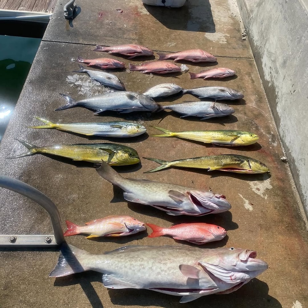 Fishing in Destin