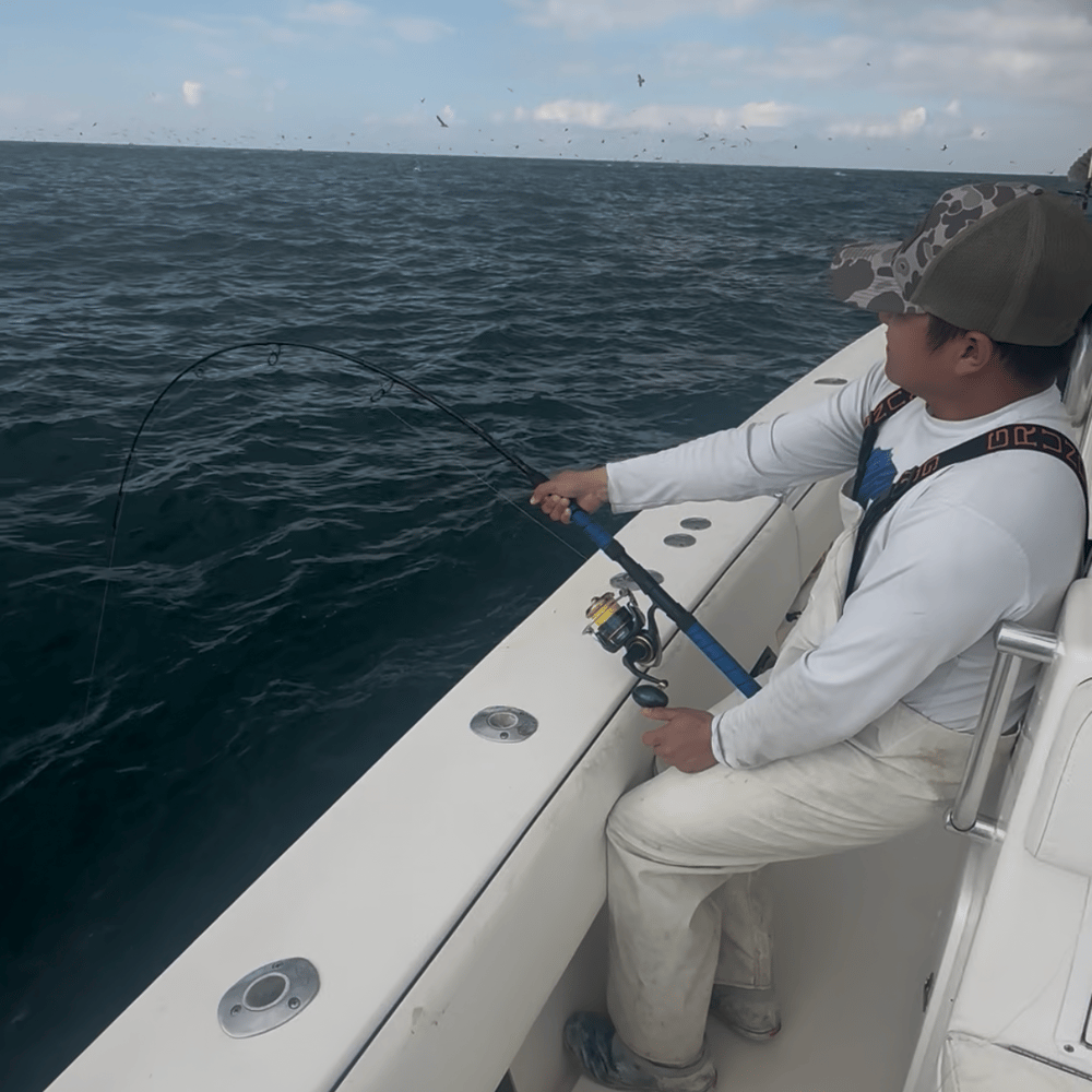 Fishing in Destin