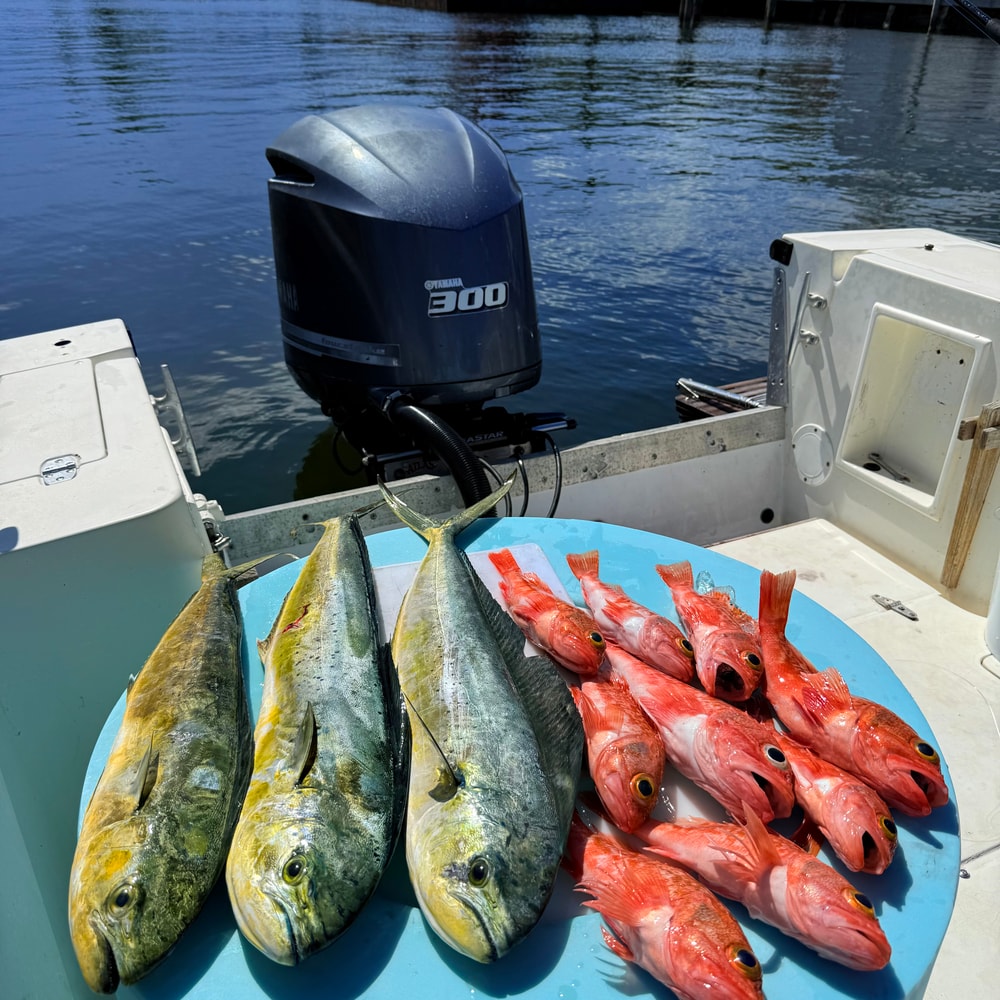 Fishing in Destin