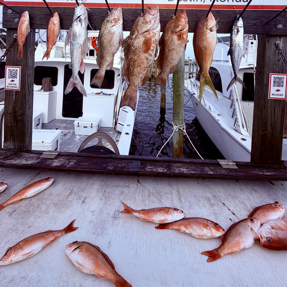 Fishing in Destin