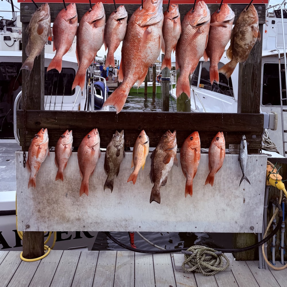 Fishing in Destin