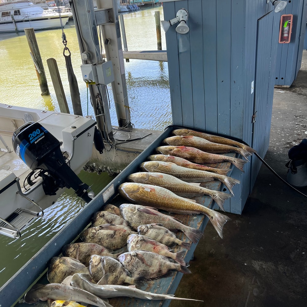 Fishing in Destin