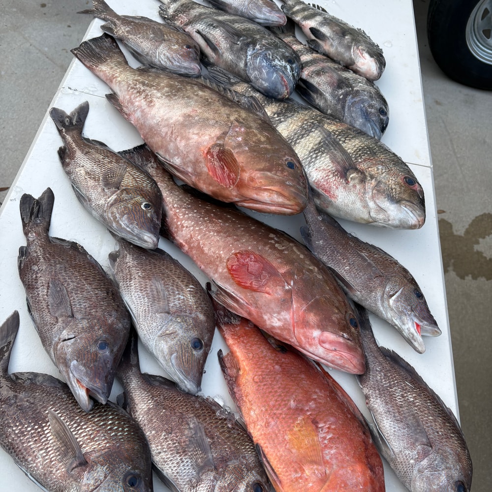 Fishing in Destin