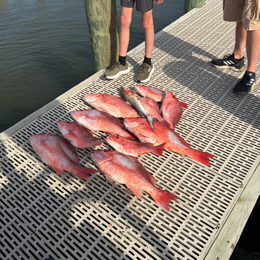 Fishing in Destin