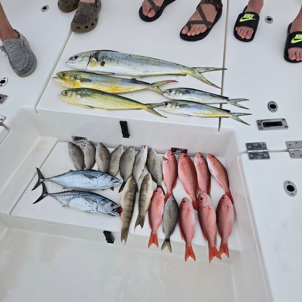 Fishing in Destin