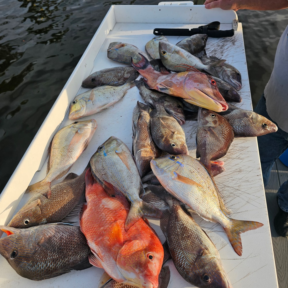 Fishing in Destin