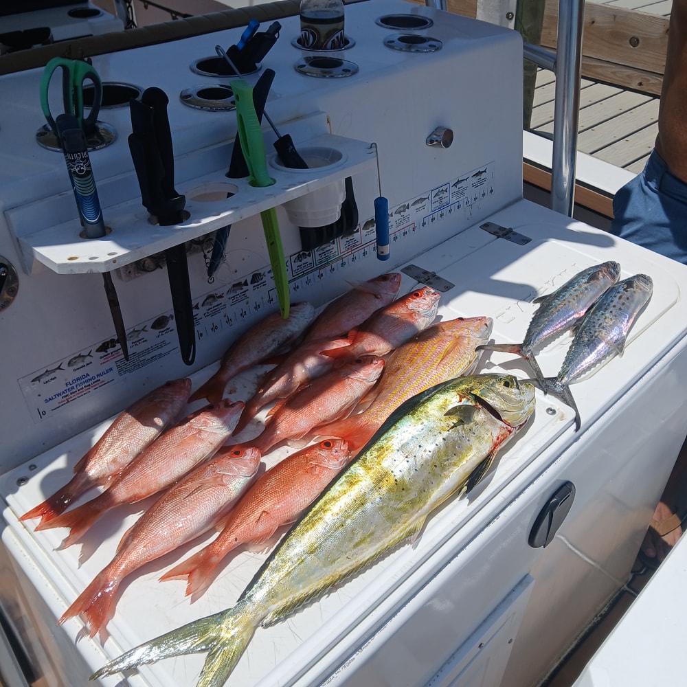 Fishing in Destin