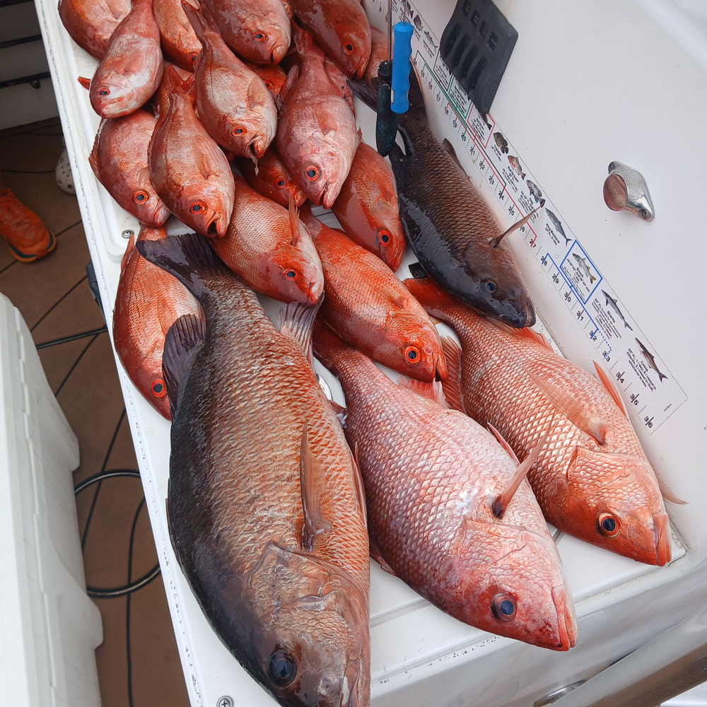 Fishing in Destin