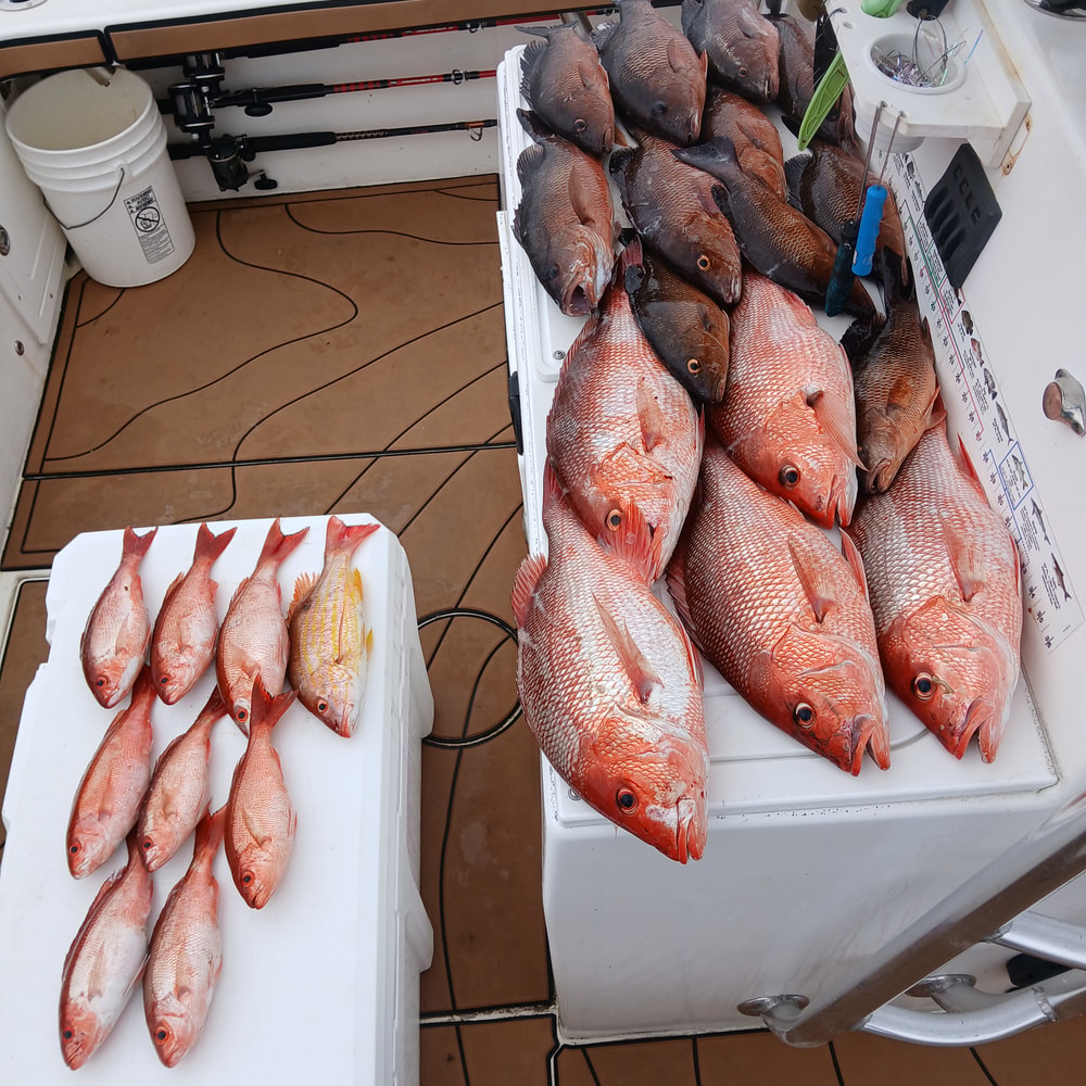 Fishing in Destin