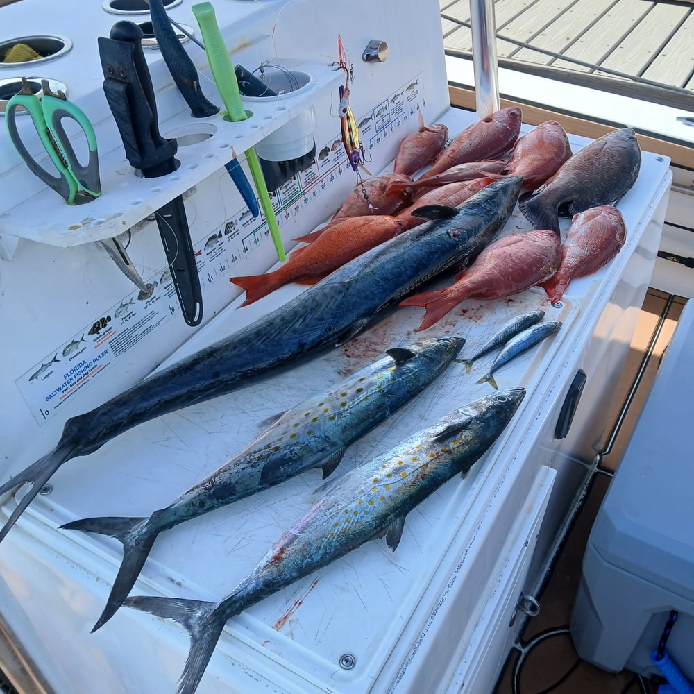 Fishing in Destin