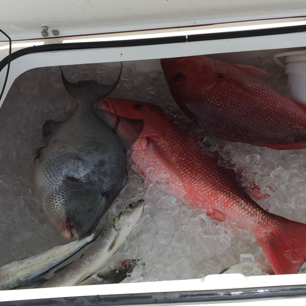 Fishing in Destin
