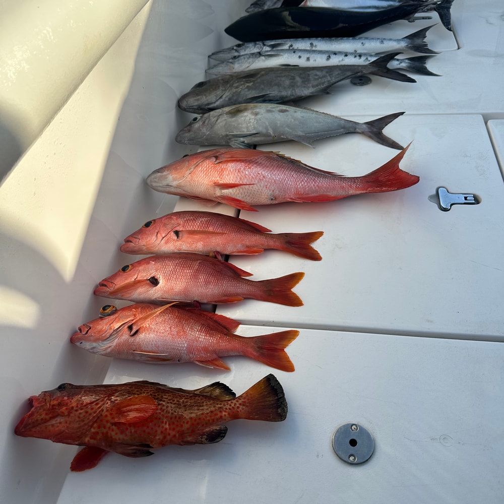Fishing in Destin