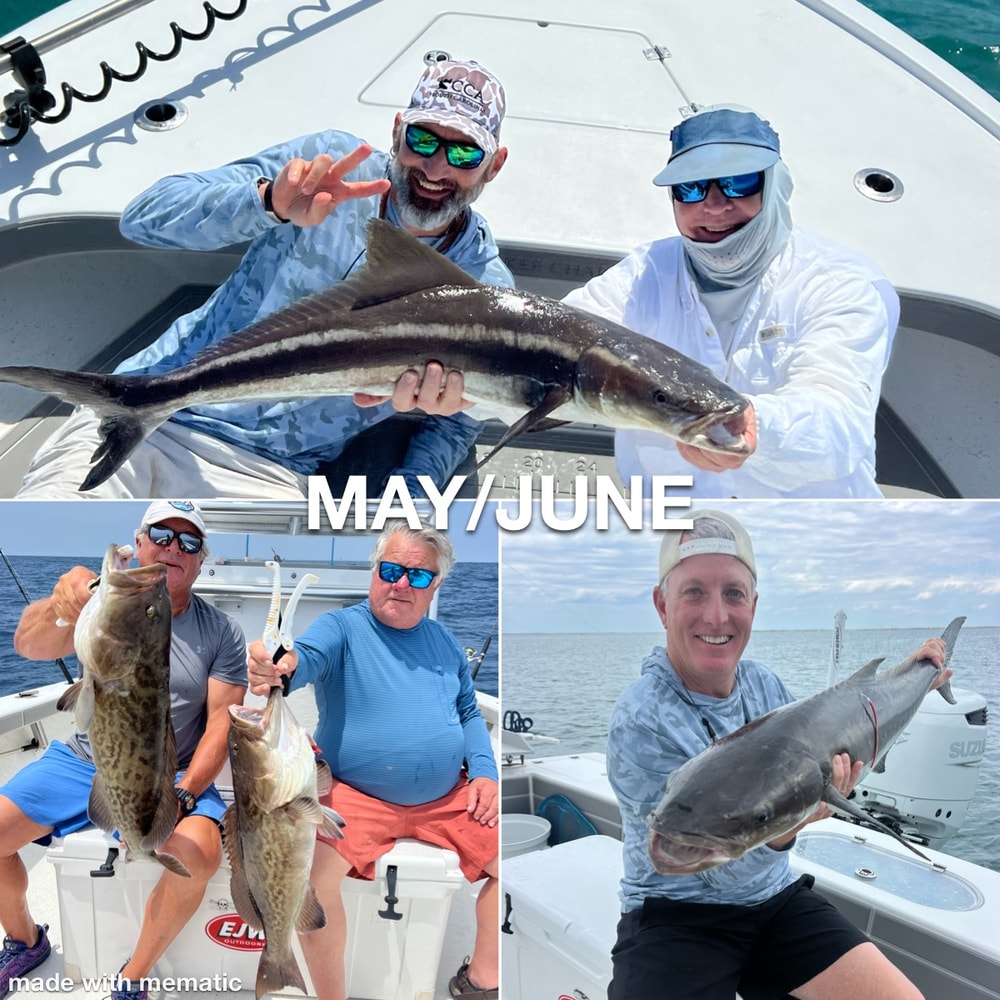 Fishing in Destin