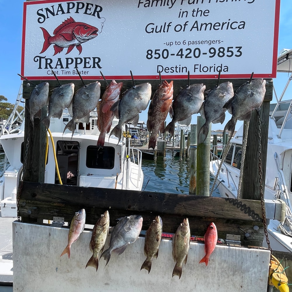 Fishing in Destin