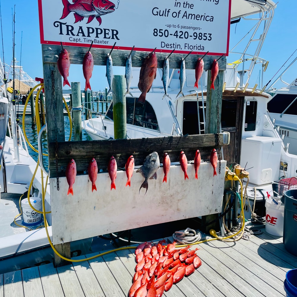 Fishing in Destin