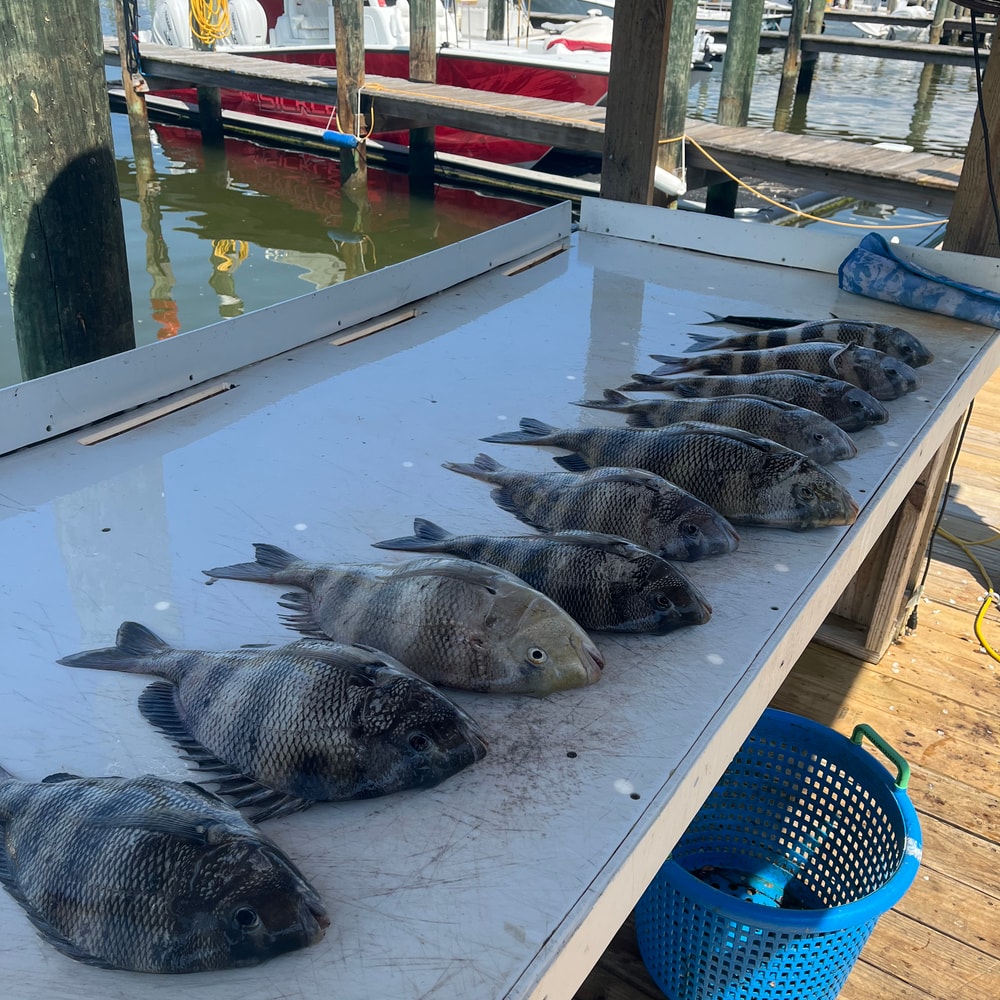 Fishing in Destin