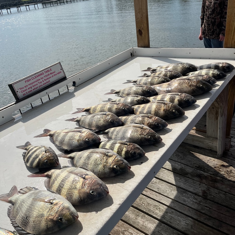 Fishing in Destin