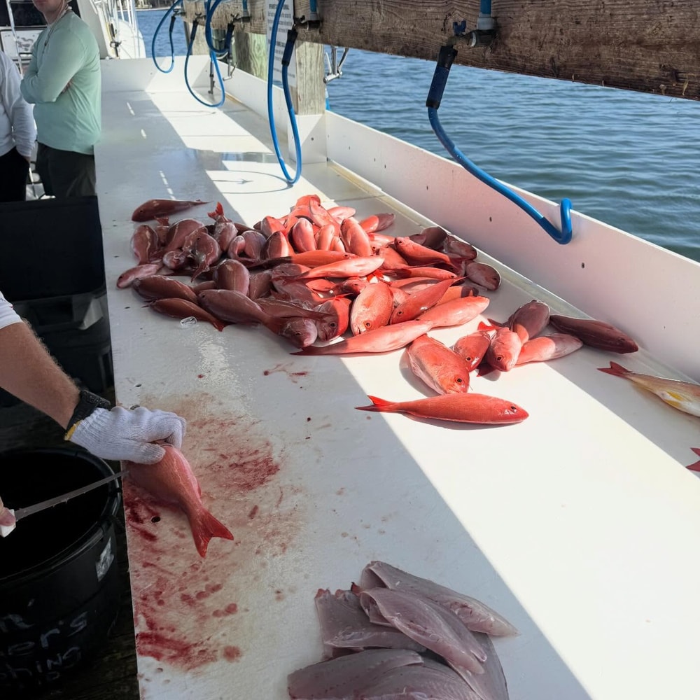 Fishing in Destin